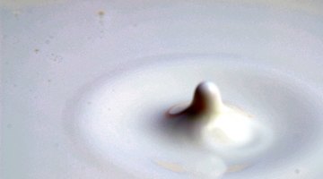Zylkene is made from a protein found in milk.