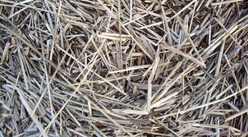 Straw--used as packing, stuffing and insulation--safely stands in for polystyrene beads.