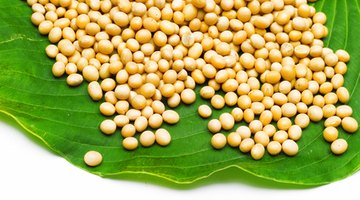 Soy products are a rare plant source of complete protein.