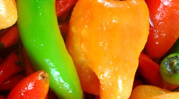 Any type of hot pepper can be used to replace chipotle peppers.