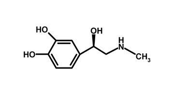 The chemical structure of adrenalin is similar to that of salbutamol except it lacks the 