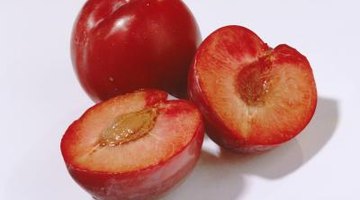 Red plums are less common than purple plums, with more tartness.