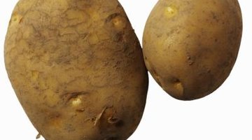 Note the dimple or eyes in the potato -- a new plant can grow from these.