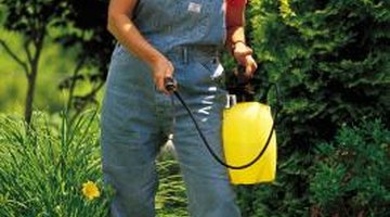 Herbicides may damage surrounding vegetation.