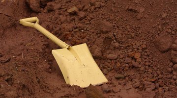 Use a shovel to remove standing water and dig into the muddy soil.