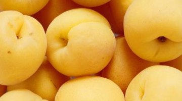 Apricots have a velvety, yellow skin with a touch of pink.