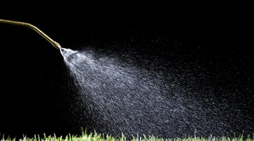 Spraying lawn with water mixture