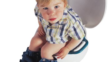 Mother potty training son (15-18 months)