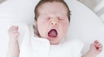 Newborn Baby Girl Sleeping in Bowl