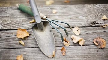 Short-handled tools allow you to get in between closely spaced plants.