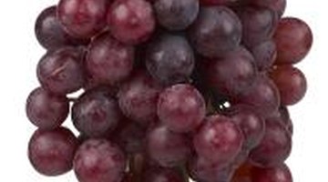 Alveoli resemble grapes hanging on the vine.