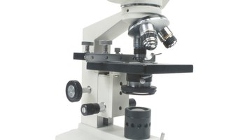 ¿Cuál es la resolución de un microscopio?