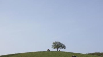 Pozwolenie właściciela jest wymagane do rozsypania prochów na terenie prywatnym.