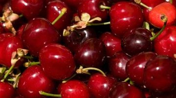 Cherries should be plump and smooth, with the green stem still intact.