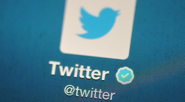 The pretty blue bird has allowed ¨regular Joe´s
