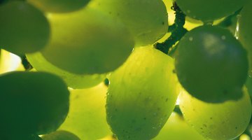 ¿Las uvas ayudan a tu sistema digestivo?