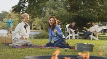 Gnats can ruin a picnic.