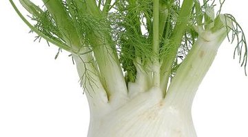 Fennel's stalks come out of an onion-like bulb .