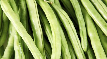 Pod radishes resemble green beans.
