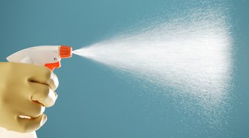 Use spray as an alternative to moth balls.