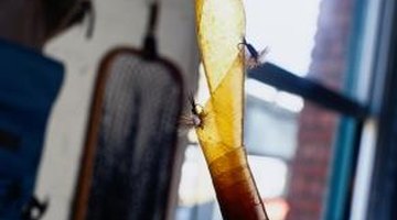 Store-bought or homemade flypaper attracts flies, gnats and mosquitoes.