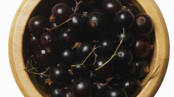 Blackcurrants