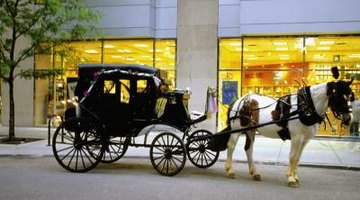 Arriving in a horse-drawn carriage will make her feel like a princess.