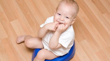 Mother potty training son (15-18 months)
