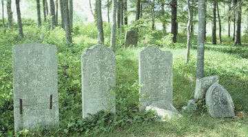 Dead pets can be buried in a pet cemetary