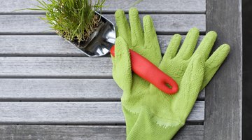 Wear gloves or rub your hands in the dirt to keep your human scent off the trap.