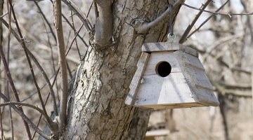 A birdhouse hanging in a tree.