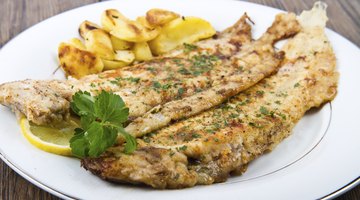 Grilled Fish Fillet and Salad