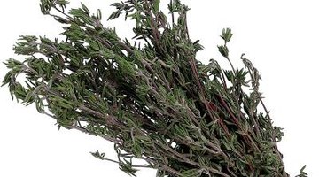 Thyme adds flavour to cooking and is also quite versatile in the garden.