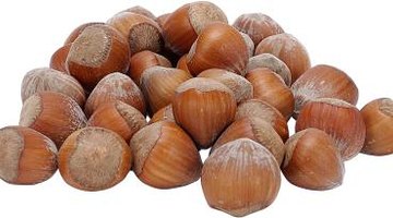 Hazelnuts are also called filberts.