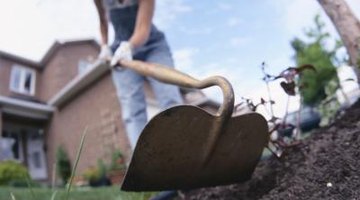 Hoes are a good example of a long-handled tool.