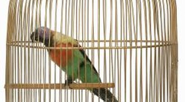 Metal bird cages should not contain zinc.