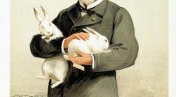 Louis Pasteur discovered that germs were responsible for causing certain illness.