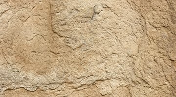 A close-up of a sandstone rock wall.