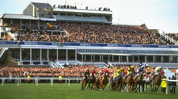 Wypełnione trybuny w Aintree oglądają pole poniżej.