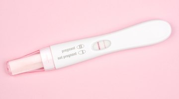 Woman Holding Pregnancy Test