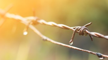 How to Attach Barbed Wire to T-Posts