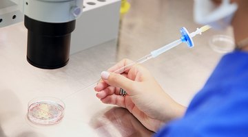 ¿Cuánto pagan por donar esperma en Estados Unidos?