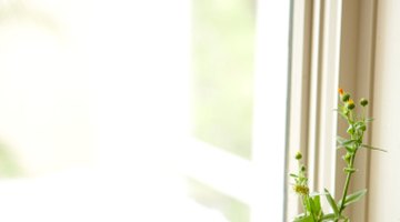 Place your iPhone near a window that doesn't let in too much sunlight.