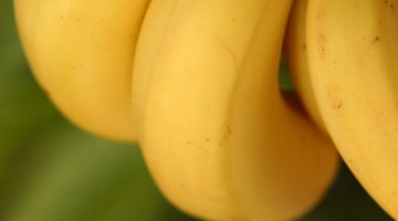 Dolor severo en el estómago por el banano