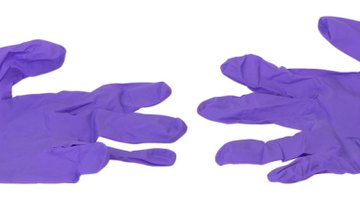 Rubber gloves protect your hands from direct contact with disease-laden mouse droppings.