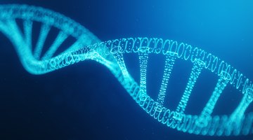 ¿Cuánto cuesta una prueba de ADN en Estados Unidos?