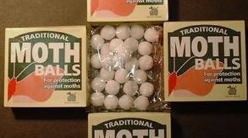 Mothballs make getting rid of mice a fairly simple process.
