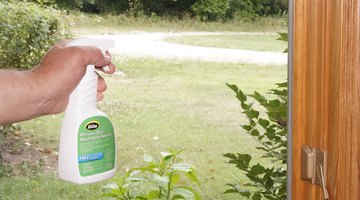 Clean the window again with film application solution.