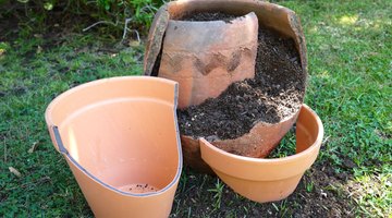 Arrange Pots