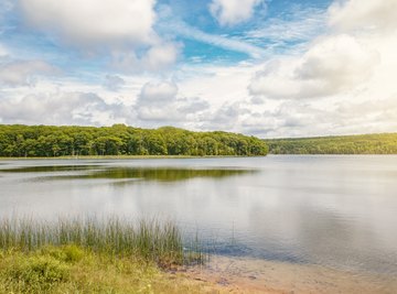 The Difference Between an Aquifer and the Water Table